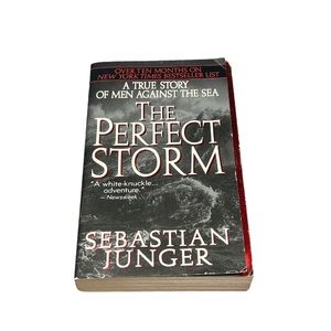 The Perfect Storm Book